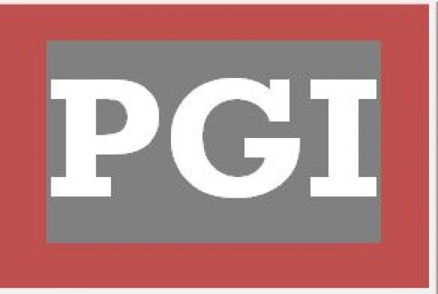 Logo PGI Protection