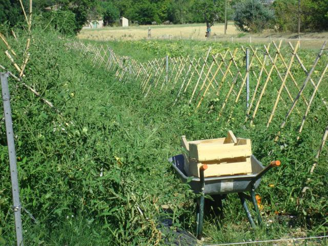 Plaisir Provençal