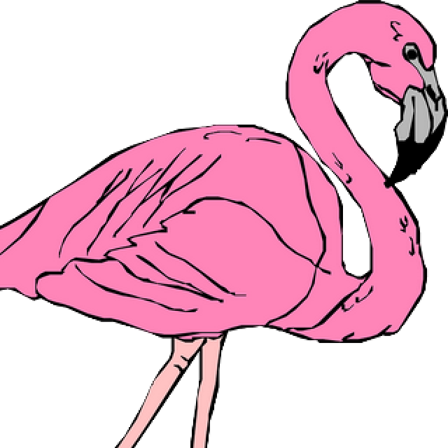 Logo Le Flamand Rose