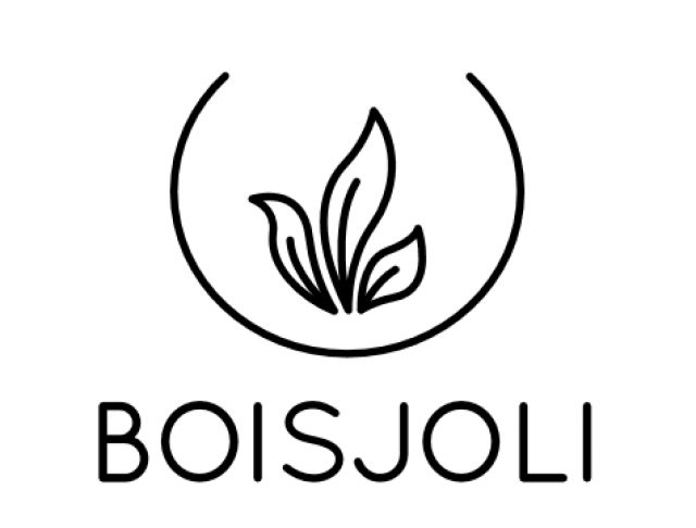 Logo Bois Joli
